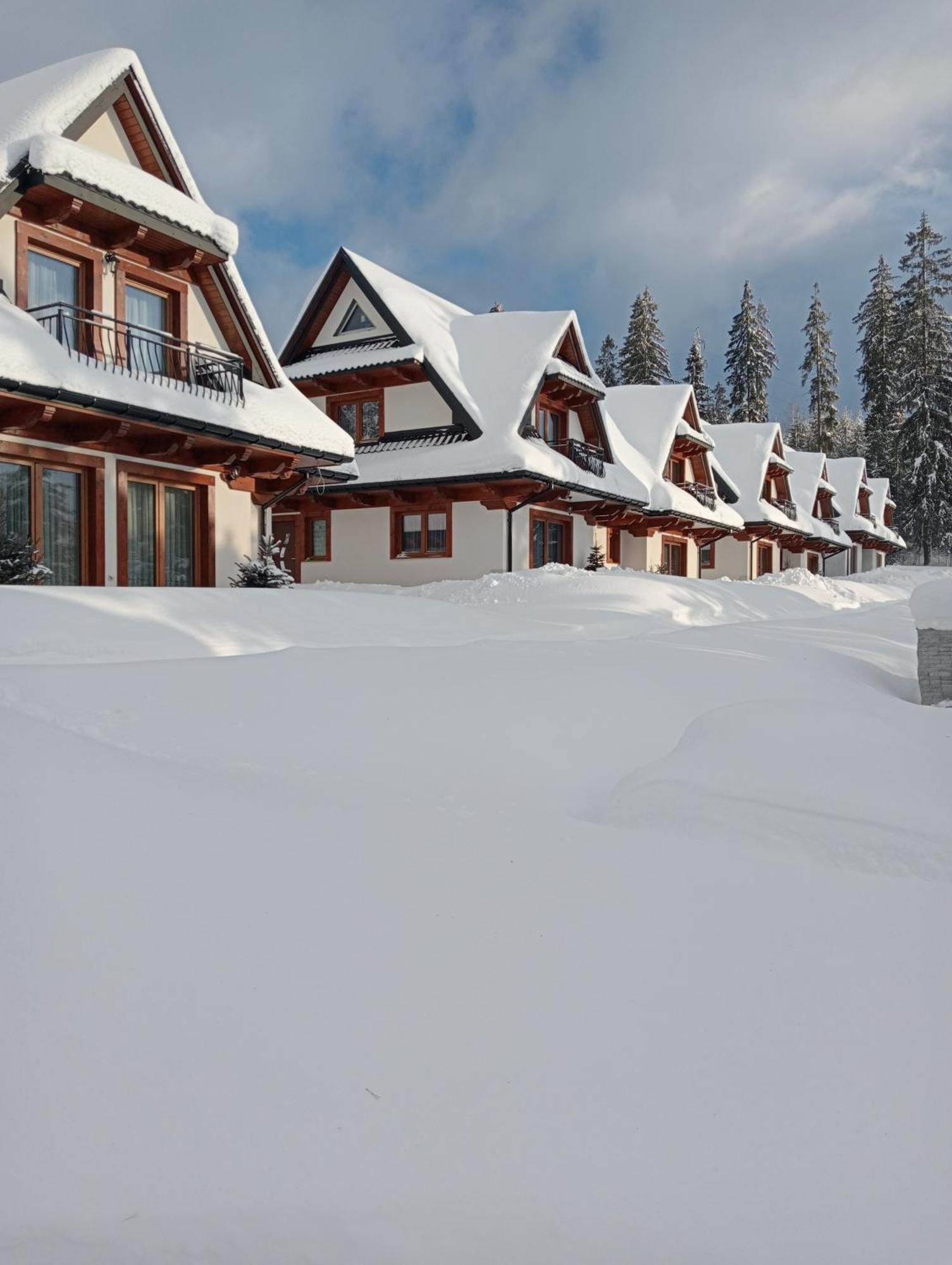 Domki Pod Lasem Podhale Zakopane Kültér fotó